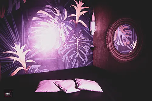 Coin câlin du 113 Avenue, club libertin à Bordeaux Eysines, décor tropical et ambiance intimiste.